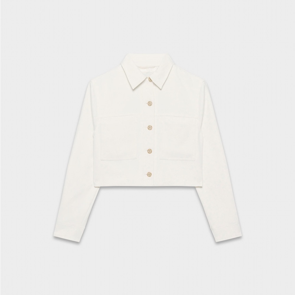Aritzia Little Cropped Jacket